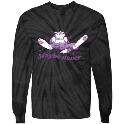 Lazy Cat Maybe Never Funny Tie-Dye Long Sleeve Shirt