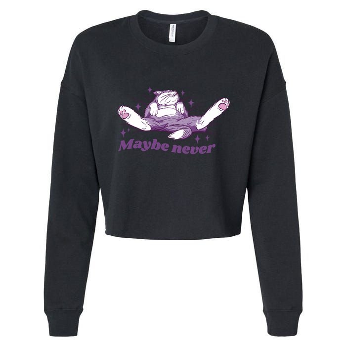Lazy Cat Maybe Never Funny Cropped Pullover Crew
