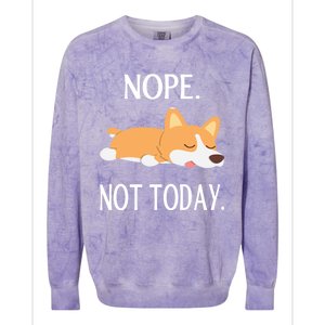 Lazy Corgi Nop Not Today Funny Corgi Dog Lovers Gift Great Gift Colorblast Crewneck Sweatshirt