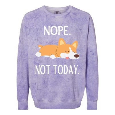 Lazy Corgi Nop Not Today Funny Corgi Dog Lovers Gift Great Gift Colorblast Crewneck Sweatshirt