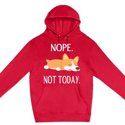 Lazy Corgi Nop Not Today Funny Corgi Dog Lovers Gift Great Gift Premium Pullover Hoodie