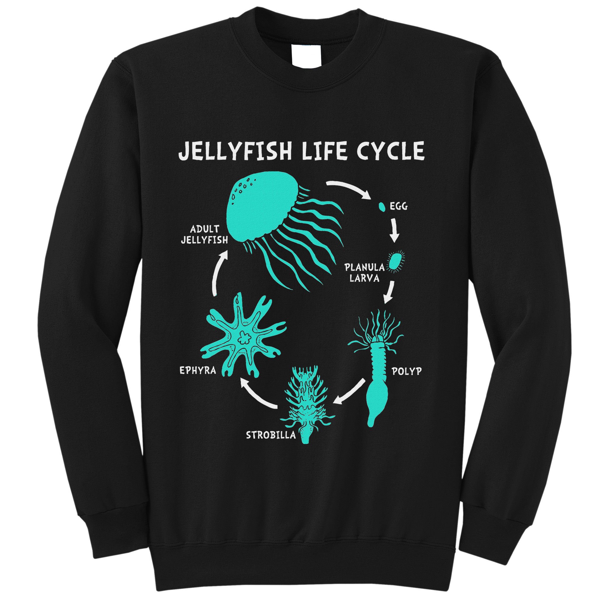 Life Cycle Of A Jellyfish Sweatshirt