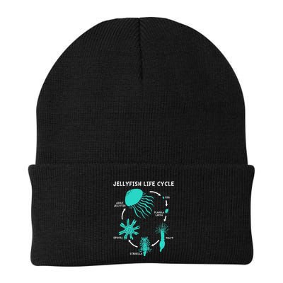 Life Cycle Of A Jellyfish Beanie