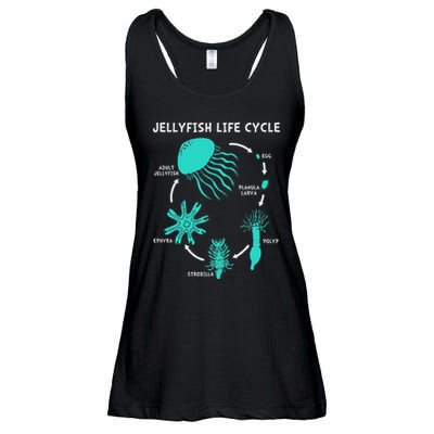Life Cycle Of A Jellyfish Ladies Essential Flowy Tank