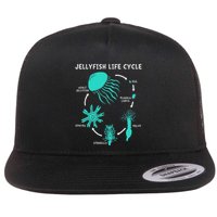 Life Cycle Of A Jellyfish Flat Bill Trucker Hat