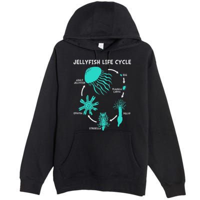 Life Cycle Of A Jellyfish Premium Pullover Hoodie