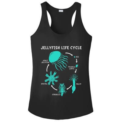 Life Cycle Of A Jellyfish Ladies PosiCharge Competitor Racerback Tank