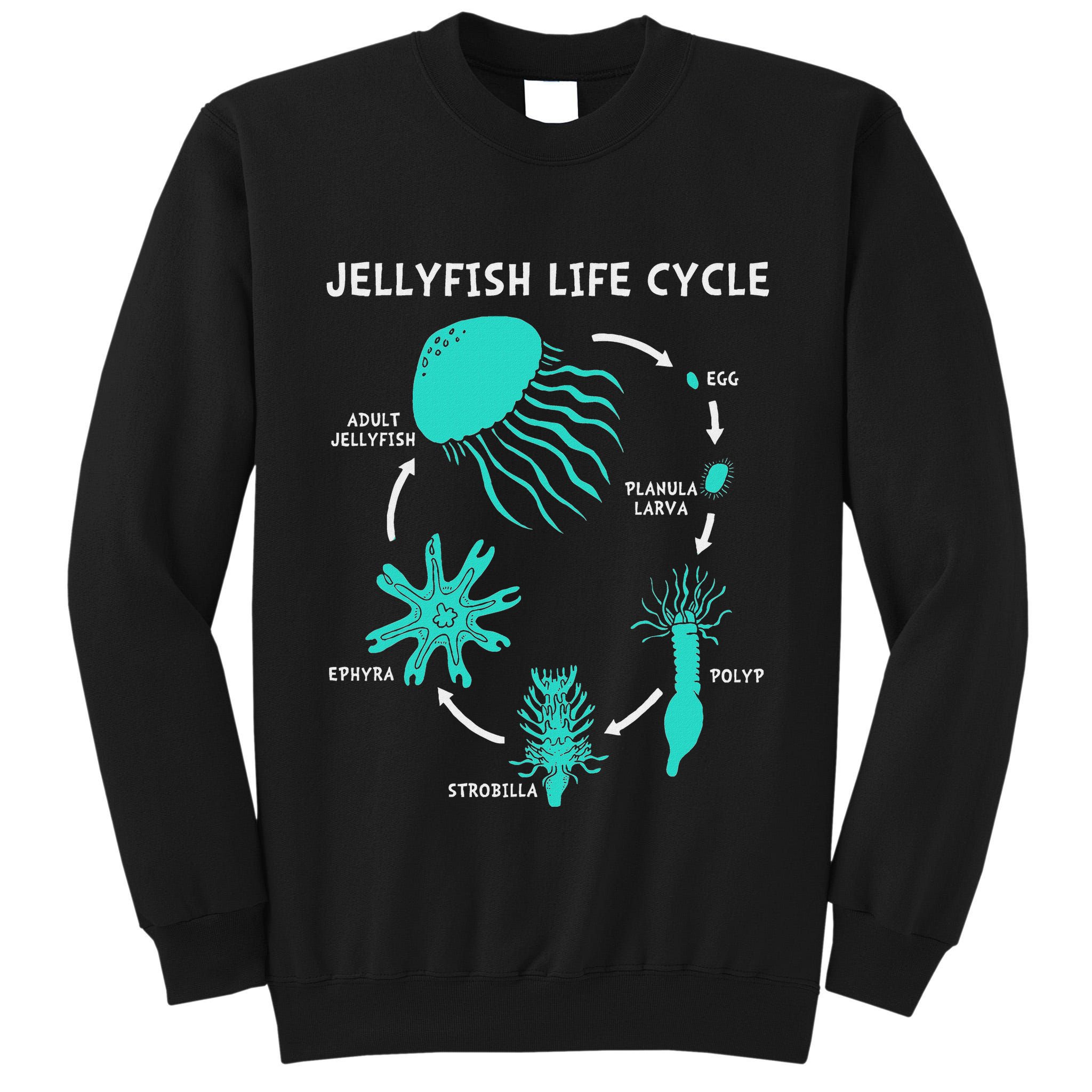 Life Cycle Of A Jellyfish Tall Sweatshirt