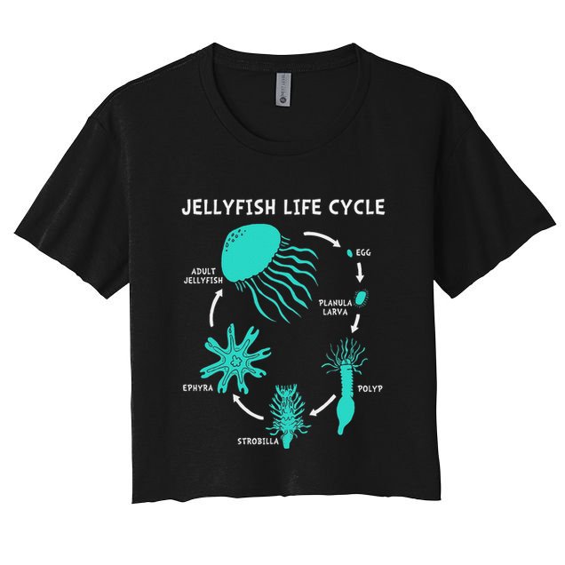 Life Cycle Of A Jellyfish Crop Top