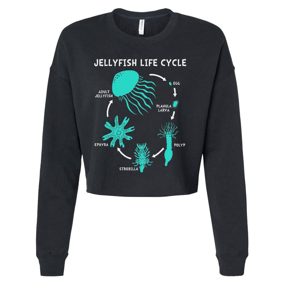 Life Cycle Of A Jellyfish Cropped Pullover Crew