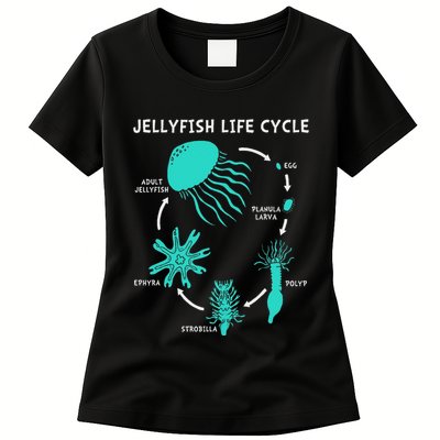 Life Cycle Of A Jellyfish Womens T-Shirt