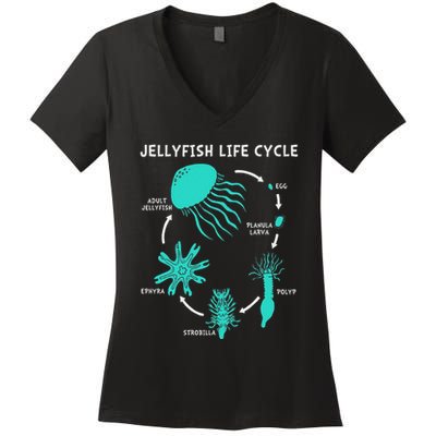 Life Cycle Of A Jellyfish Women's V-Neck T-Shirt