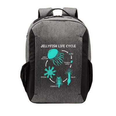 Life Cycle Of A Jellyfish Vector Backpack