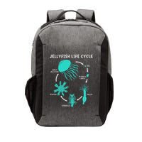 Life Cycle Of A Jellyfish Vector Backpack