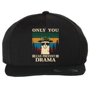 Llama Camping Only You Can Prevent Drama Gifts Men Women Wool Snapback Cap