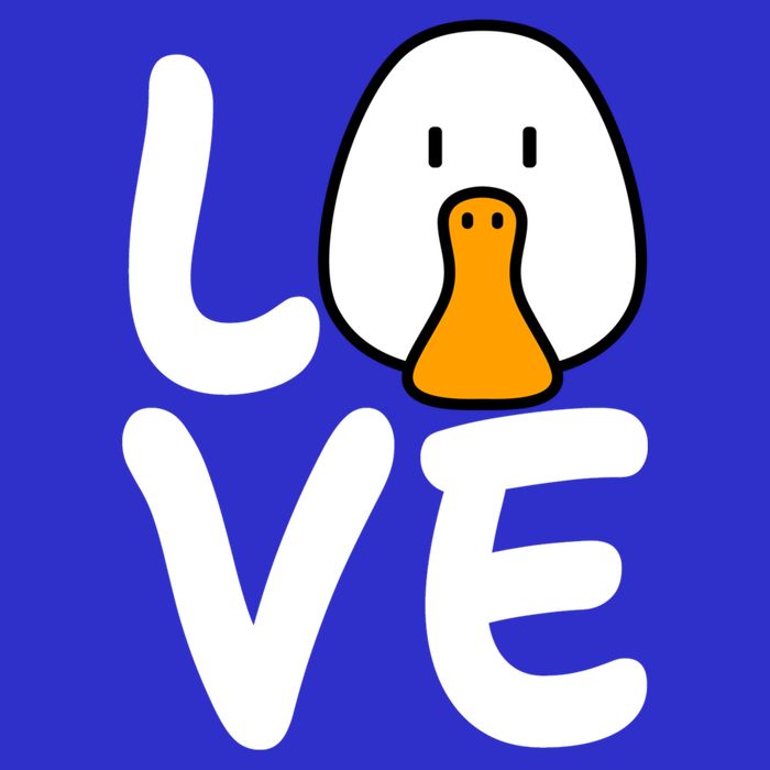 Love Ducks Cool Gift Goose Lover Cool Gift Cool Duck Gift Womens T-Shirt