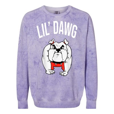 Lil' Dawg Football Fan Colorblast Crewneck Sweatshirt