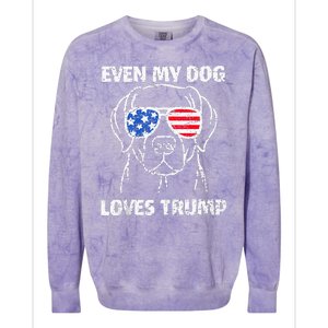 Labrador Dog Flag Sunglasses Even My Dog Loves Trump 2024 Colorblast Crewneck Sweatshirt