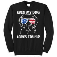 Labrador Dog Flag Sunglasses Even My Dog Loves Trump 2024 Sweatshirt