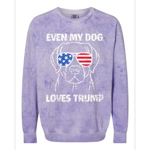 Labrador Dog Flag Sunglasses Even My Dog Loves Trump 2024 Colorblast Crewneck Sweatshirt