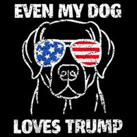Labrador Dog Flag Sunglasses Even My Dog Loves Trump 2024 V-Neck T-Shirt