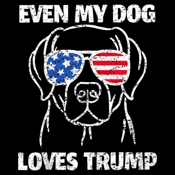 Labrador Dog Flag Sunglasses Even My Dog Loves Trump 2024 V-Neck T-Shirt