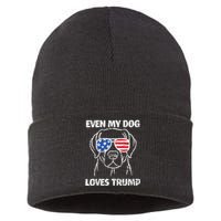 Labrador Dog Flag Sunglasses Even My Dog Loves Trump 2024 Sustainable Knit Beanie