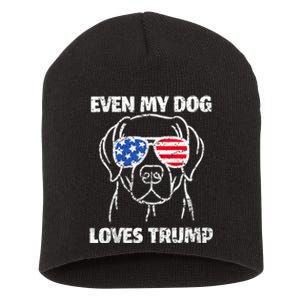 Labrador Dog Flag Sunglasses Even My Dog Loves Trump 2024 Short Acrylic Beanie