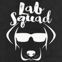 LABRADOR DOG GIFT Black Lab Yellow Lab Squad Love Design Adult Drive Performance Visor