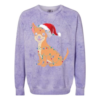 Lovely Dog Holder Lover Santa Christmas Light Chihuahua Gift Colorblast Crewneck Sweatshirt