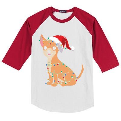 Lovely Dog Holder Lover Santa Christmas Light Chihuahua Gift Kids Colorblock Raglan Jersey