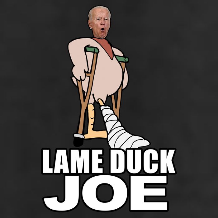 Lame Duck Joe Biden Funny Cool Comfort Performance Bucket Hat