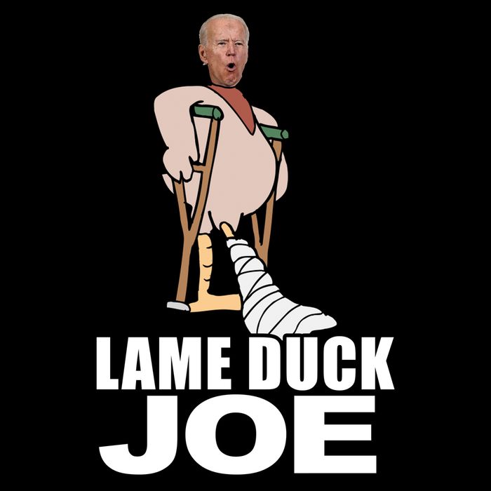 Lame Duck Joe Biden Funny Bucket Hat