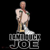 Lame Duck Joe Biden Funny Mug
