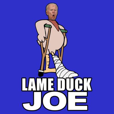 Lame Duck Joe Biden Funny T-Shirt