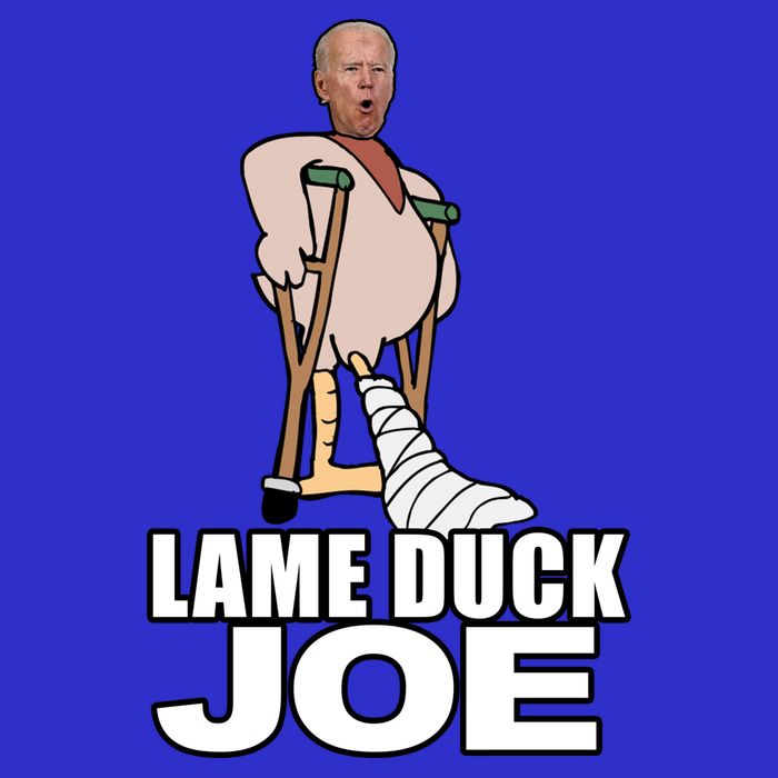 Lame Duck Joe Biden Funny Toddler T-Shirt