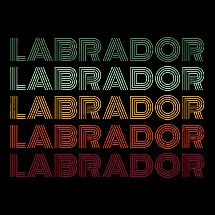 Labrador Dog Cooling Performance Crew T-Shirt