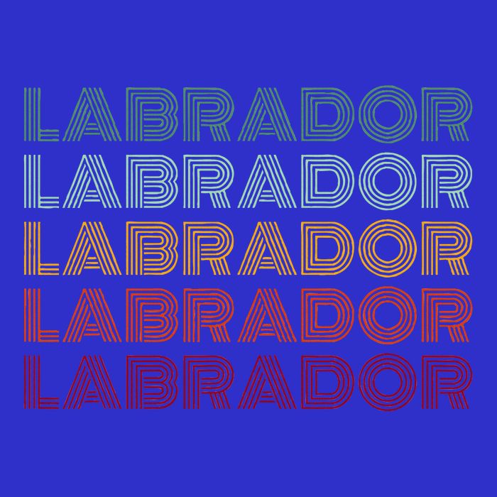 Labrador Dog Button