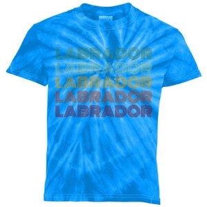 Labrador Dog Kids Tie-Dye T-Shirt