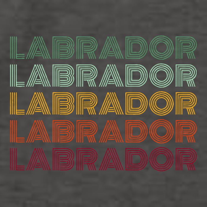 Labrador Dog Vector Backpack
