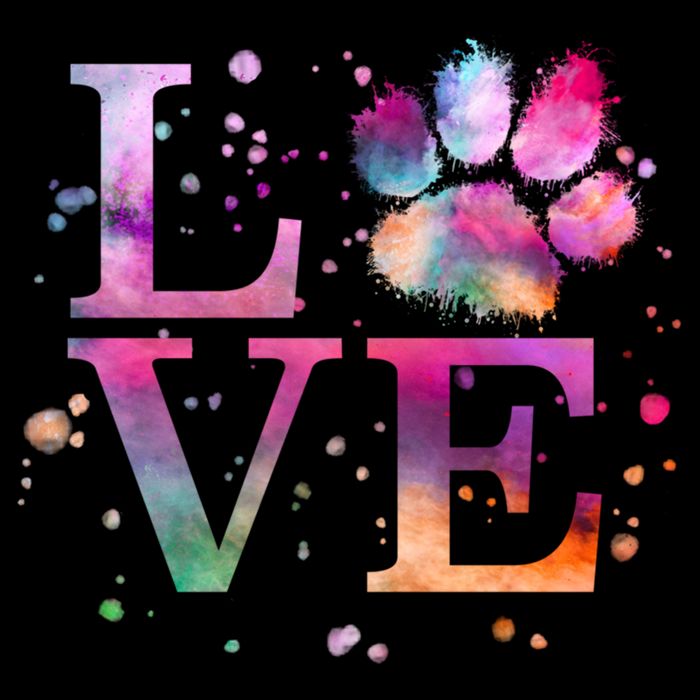 Love Dog Paw Print Colorful National Animal Shelter Week Gift Backpack