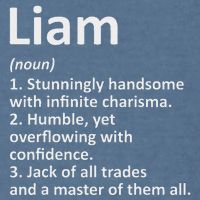 Liam Definition Personalized Name Funny Birthday Gift Idea Garment-Dyed Sweatshirt