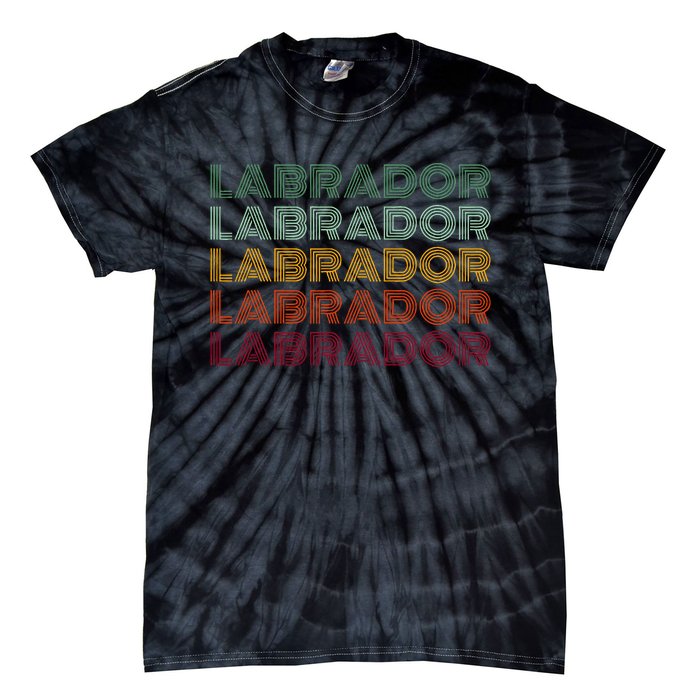 Labrador Dog Retro Tie-Dye T-Shirt