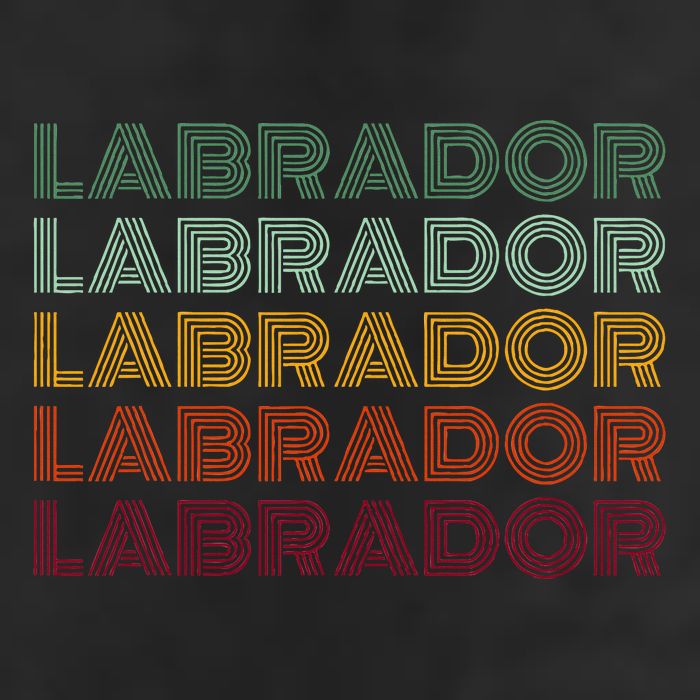 Labrador Dog Retro Golf Towel