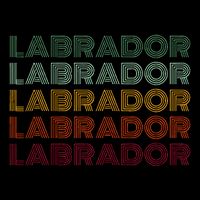 Labrador Dog Retro Wool Snapback Cap