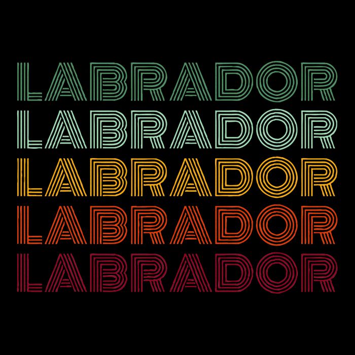 Labrador Dog Retro Wool Snapback Cap