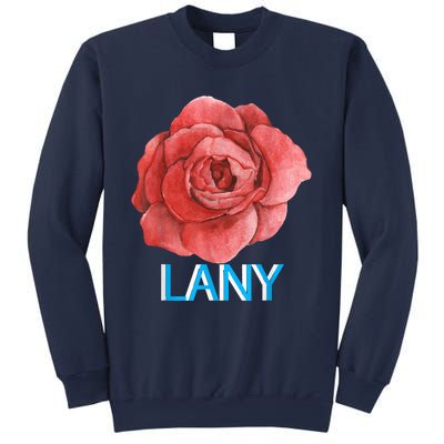 Lany Dumb Stuff Sweatshirt