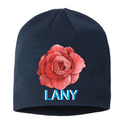 Lany Dumb Stuff Sustainable Beanie