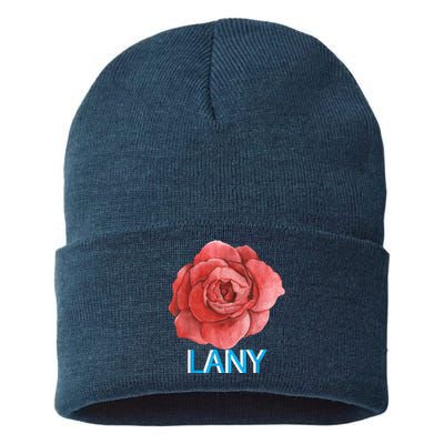 Lany Dumb Stuff Sustainable Knit Beanie