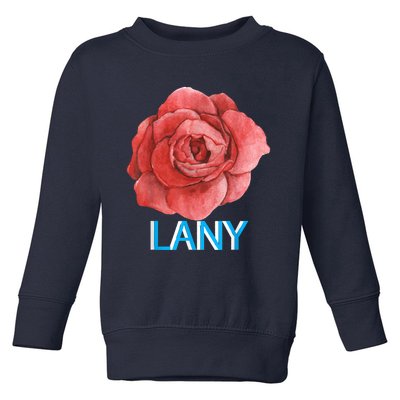 Lany Dumb Stuff Toddler Sweatshirt